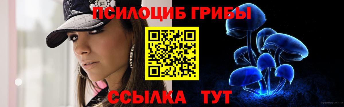 Псилоцибиновые грибы мицелий Ростов-на-Дону